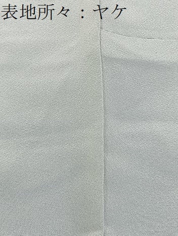 平和屋着物■上質な色無地　柳鼠色　正絹　逸品　BAAY6531hj