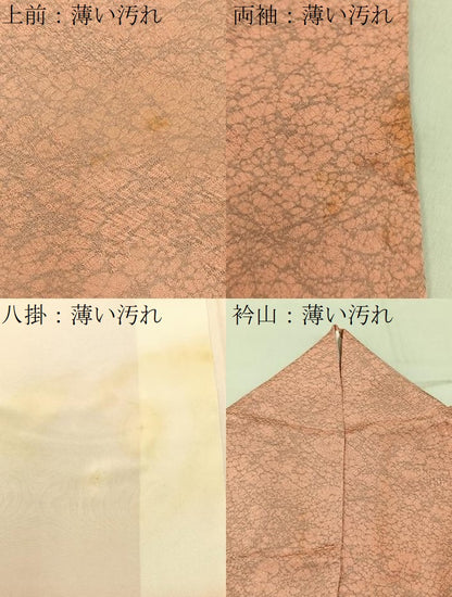 平和屋着物■上質な小紋　霞文　正絹　逸品　BAAY6539hj
