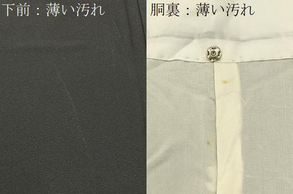 平和屋着物■豪華黒留袖　刺繍　尾長鶏　金彩　正絹　逸品　BAAY6550hj