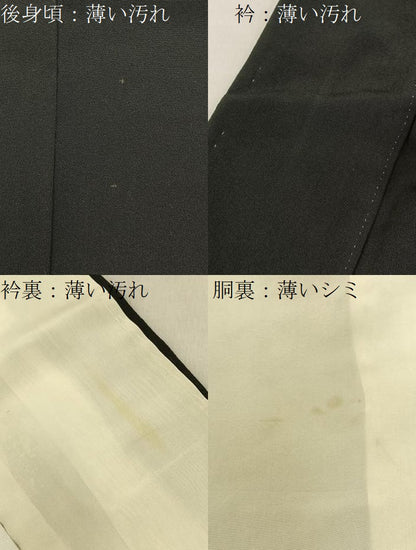 平和屋着物■豪華黒留袖　友禅　作家物　尾長鶏流水花文　正絹　逸品　BAAY6555hj