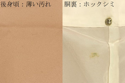 平和屋着物■豪華色留袖　駒刺繍　流水秋草文　暈し染め　金彩　正絹　逸品　BAAY6558hj