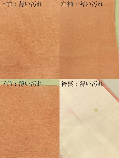 平和屋着物■豪華振袖　幾久重袖　鹿の子草花文　暈し染め　金銀彩　正絹　逸品　BAAY6567hj