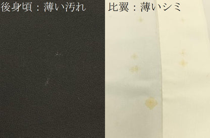 平和屋着物■豪華黒留袖　鬘帯花文　金彩　正絹　逸品　BAAY6623hj