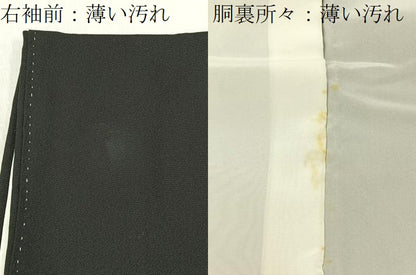 平和屋着物■豪華黒留袖　作家物　清水　金彩　正絹　逸品　BAAY6718hj
