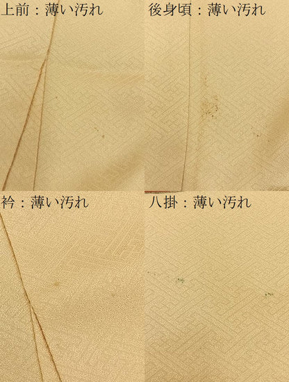 平和屋着物■豪華色留袖　駒刺繍　熨斗吉祥文　金彩　正絹　逸品　BAAY6721hj