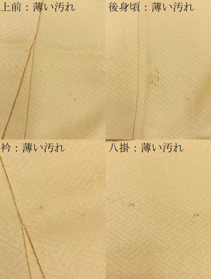 平和屋着物■豪華色留袖　駒刺繍　熨斗吉祥文　金彩　正絹　逸品　BAAY6721hj