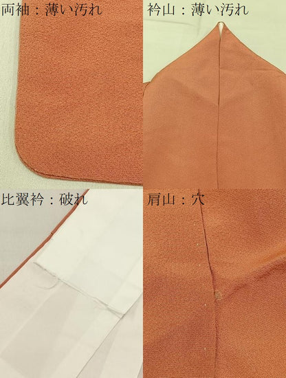 平和屋着物■豪華色留袖　鴛鴦花車文　暈し染め　金彩　正絹　逸品　BAAY6736hj