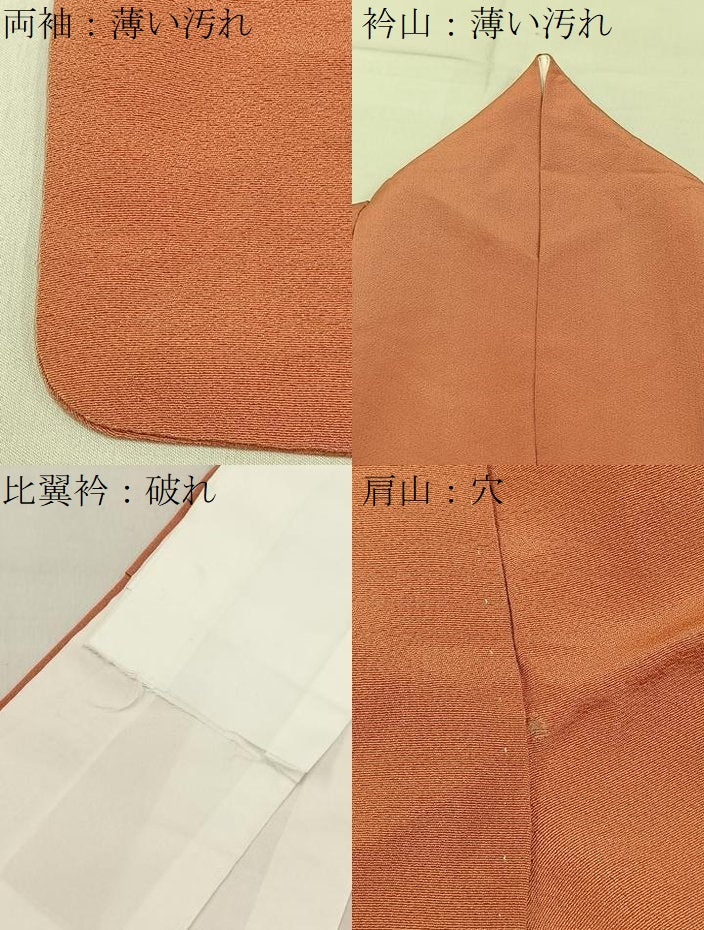 平和屋着物■豪華色留袖　鴛鴦花車文　暈し染め　金彩　正絹　逸品　BAAY6736hj