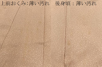 平和屋着物■江戸小紋　あられ文様　正絹　逸品　未使用　BAAY6778hj