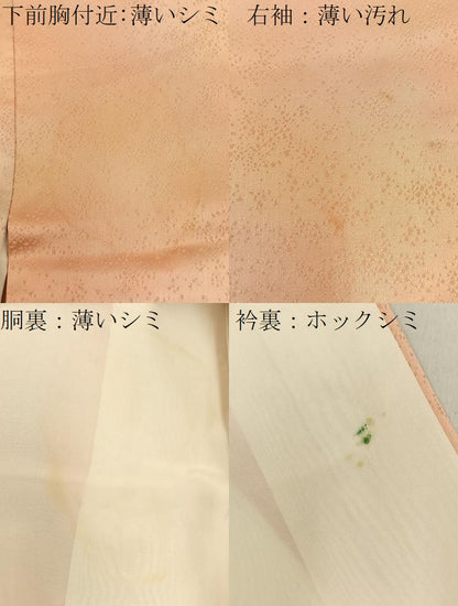 平和屋着物■訪問着　青海波地紋　暈し染め　正絹　逸品　BAAY6779hj