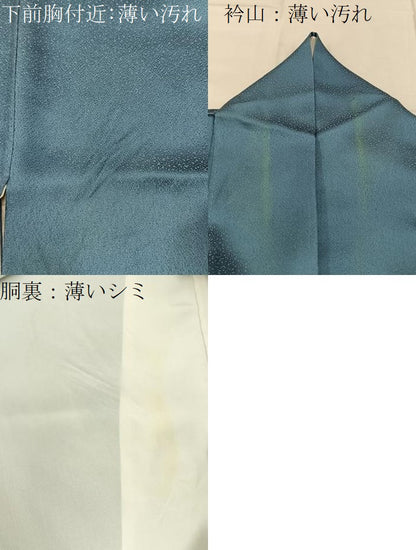 平和屋着物■訪問着　御所解文　金彩　正絹　逸品　BAAY6807hj