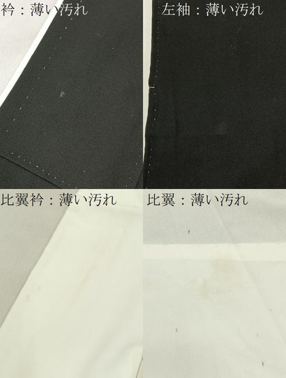 平和屋着物■豪華黒留袖　駒刺繍　風景花文　金彩　正絹　逸品　BAAY6861hj