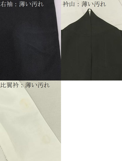 平和屋着物■豪華黒留袖　友禅　作家物　飛鶴風景文　正絹　逸品　BAAY6862hj