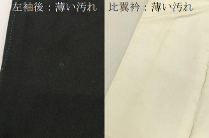 平和屋着物■豪華黒留袖　松竹梅秋草文　金彩　正絹　逸品　BAAY6866hj