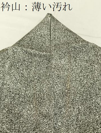 平和屋着物■訪問着　刺繍　舞蝶文　たたき染め　黒地　金銀彩　正絹　逸品　BAAY6895hj