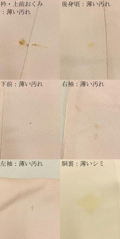 平和屋着物■訪問着　作家物　手描き　連獅子　暈し染め　金彩　正絹　逸品　BAAY6901hj
