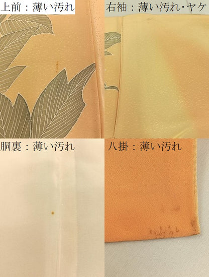 平和屋着物■訪問着　刺繍　牡丹　金彩　正絹　逸品　BAAY6902hj