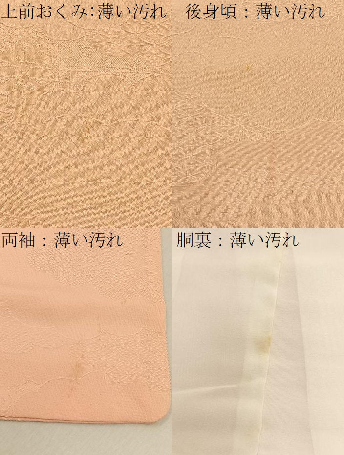 平和屋着物■上質な色無地　雲隠れ吉祥地紋　人色　正絹　逸品　BAAY6951hj