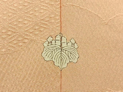 平和屋着物■上質な色無地　雲隠れ吉祥地紋　人色　正絹　逸品　BAAY6951hj