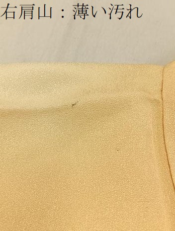 平和屋着物■訪問着　刺繍　草花文　暈し染め　金彩　正絹　逸品　BAAY6959hj