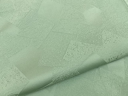 平和屋着物●上質な色無地　色紙重ね地紋　裏葉柳色　正絹　逸品　BAAY8017hj