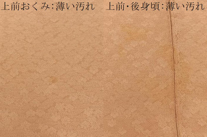 平和屋着物■上質な色無地　桐地紋　深支子色　正絹　逸品　BAAY8018hj