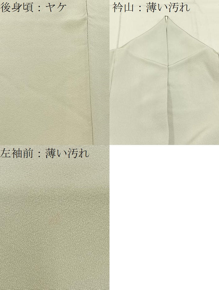 平和屋着物■訪問着　総刺繍　花鳥丸文　金銀糸　正絹　逸品　BAAY8030hj