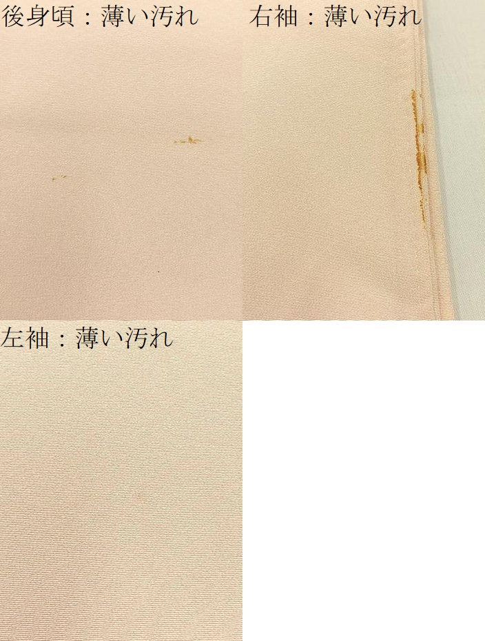 平和屋着物■豪華色留袖　檜扇孔雀花文　暈し染め　金彩　正絹　逸品　BAAY8043hj