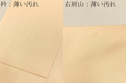 平和屋着物■訪問着　刺繍　南天文　暈し染め　金彩　やまと誂製　正絹　逸品　BAAY8046hj