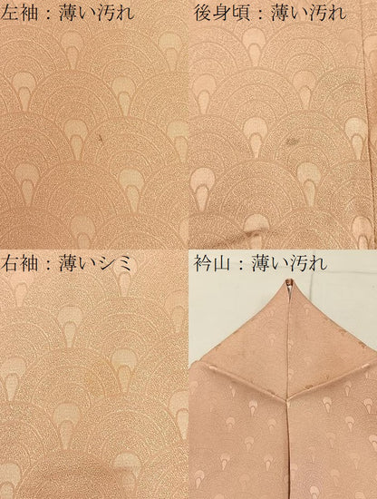 平和屋着物■上質な小紋　青海波地紋　暈し染め　正絹　逸品　BAAY8061hj