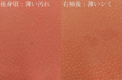 平和屋着物■江戸小紋　寄せ小紋柄　正絹　逸品　BAAY8084hj