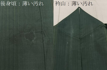 平和屋着物■本場縞大島紬　縞　正絹　逸品　BAAY8095hj
