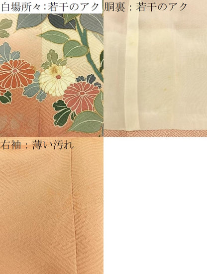 平和屋着物■訪問着　草花文　暈し染め　金彩　正絹　逸品　BAAY8101hj