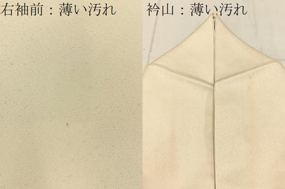 平和屋着物■訪問着　手描き　銀閣寺　暈し染め　金銀彩　正絹　逸品　BAAY8144hj