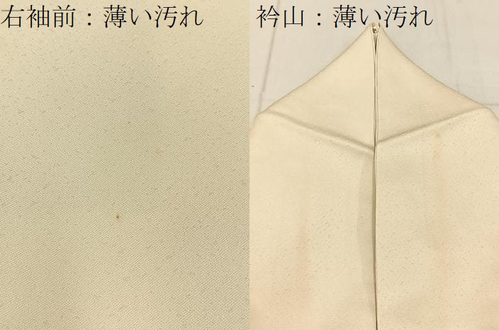 平和屋着物■訪問着　手描き　銀閣寺　暈し染め　金銀彩　正絹　逸品　BAAY8144hj