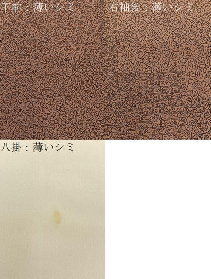 平和屋着物■江戸小紋　作家物　寄せ小紋柄　正絹　逸品　BAAY8184hj