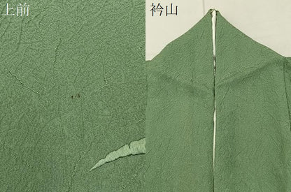 平和屋着物●無地絵羽訪問着　総刺繍　雪芝文　山葵色　正絹　逸品　BAAY8239hj