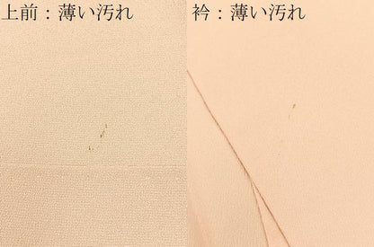 平和屋着物■訪問着　友禅　作家物　枝花文　正絹　逸品　BAAY8287hj