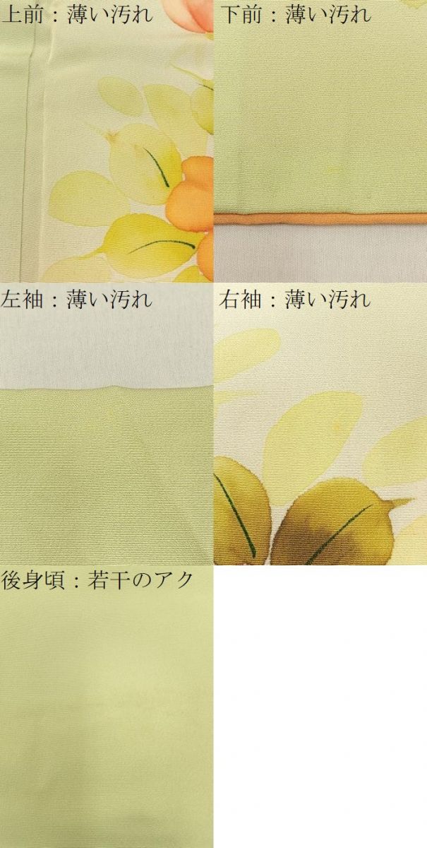 平和屋着物■訪問着　手描き　草花文　暈し染め　金彩　正絹　逸品　BAAY8304hj