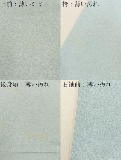 平和屋着物■訪問着　舞蝶文　暈し染め　金彩　正絹　逸品　BAAY8357hj