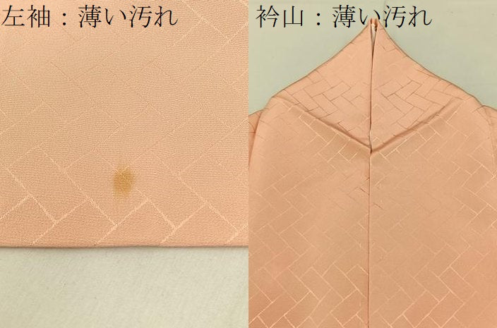 平和屋着物■訪問着　刺繍　菊　正絹　逸品　BAAY8372hj