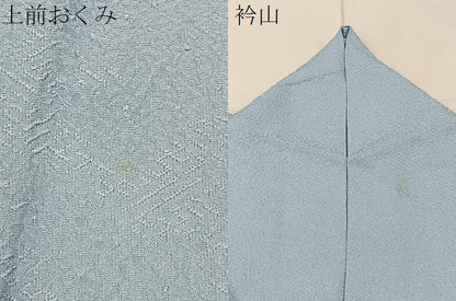 平和屋着物●上質な色無地　作家物　京草木染　紗綾形地紋　水色　正絹　逸品　BAAY8380hj