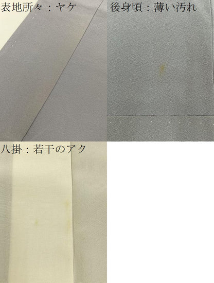 平和屋着物■訪問着　群鶴遠山花文　暈し染め　金彩　正絹　逸品　BAAY8461hj