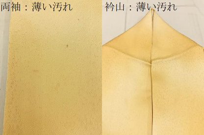 平和屋着物■訪問着　菊　暈し染め　金彩　正絹　逸品　BAAY8513hj