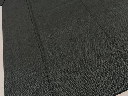 平和屋着物■男性　本場大島紬　アンサンブル　100亀甲　総詰め　正絹　逸品　BAAY8524hj