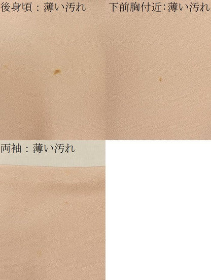 平和屋着物■訪問着　友禅　花鳥文　暈し染め　正絹　逸品　BAAY8583hj