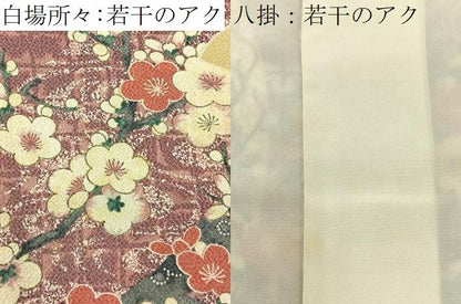 平和屋着物■訪問着　扇面花鳥文　暈し染め　鬼しぼ縮緬　正絹　逸品　BAAY8595hj