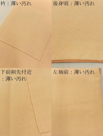 平和屋着物■訪問着　誰が袖秋草文　金彩　正絹　逸品　BAAY8616hj