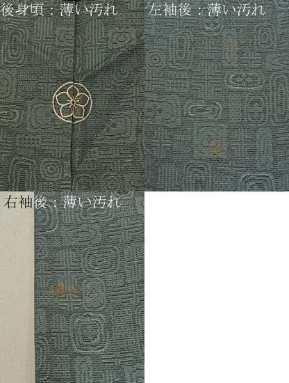 平和屋着物■上質なお召　吉祥文　正絹　逸品　BAAY8621hj