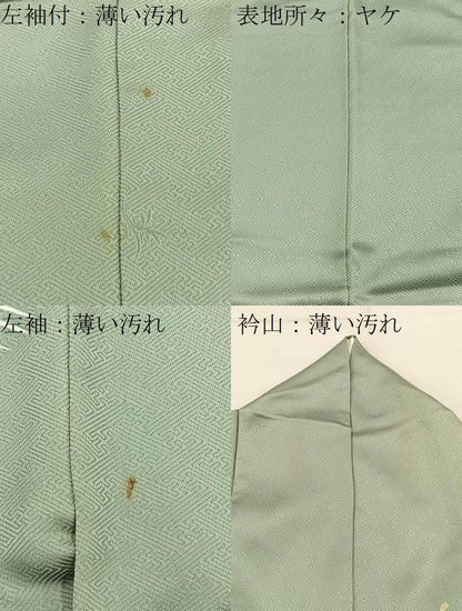 平和屋着物■訪問着　駒刺繍　飛鶴御所車花文　暈し染め　金銀彩　正絹　逸品　BAAY8678hj